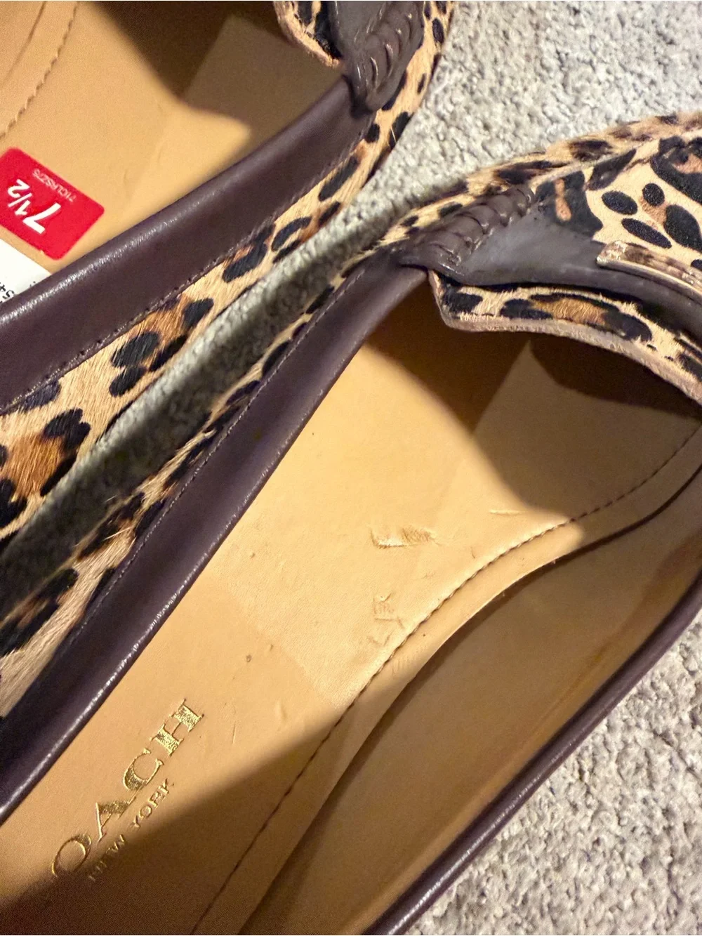 Coach Leopard-Print Penny Loafers with Dark Brown Trim